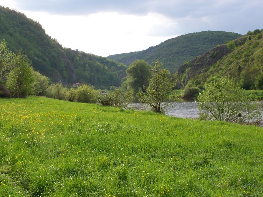 Restaurace A Penzion U Lva Карлштейн Экстерьер фото
